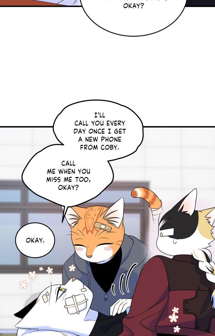 Blue Project Chapter 102 page 43 - 