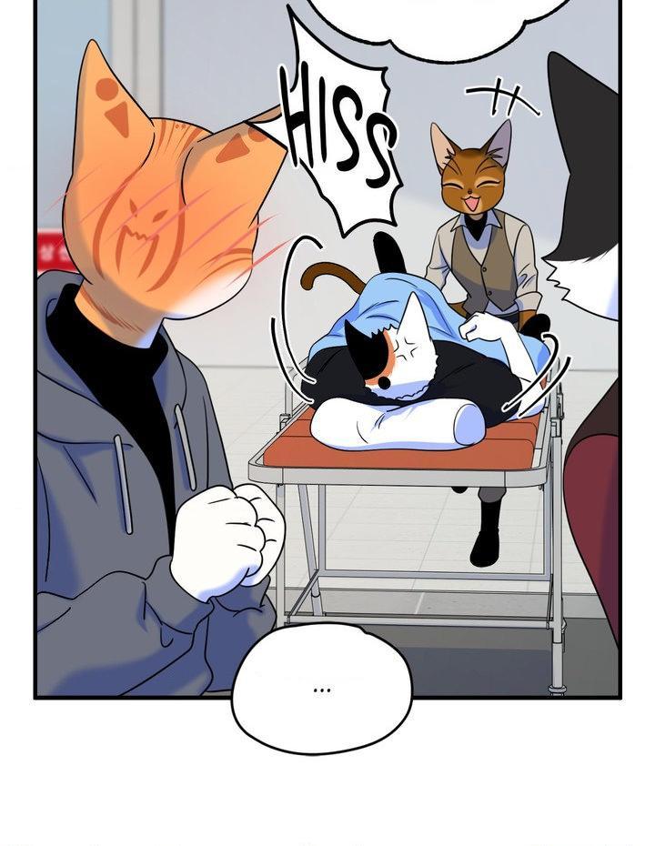 Blue Project Chapter 102 page 48 - 