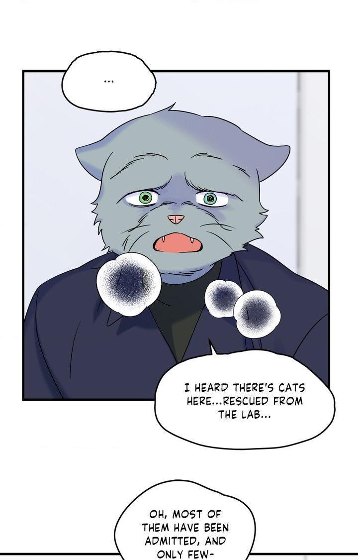 Blue Project Chapter 102 page 55 - 