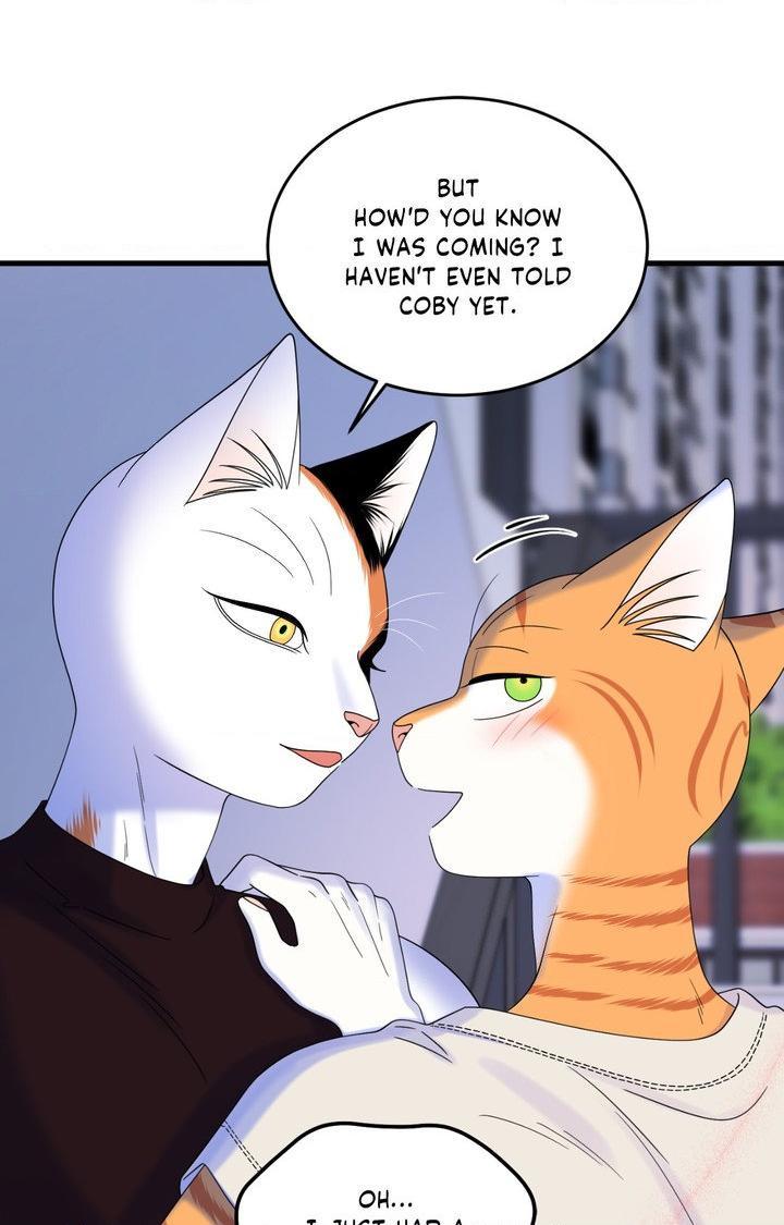 Blue Project Chapter 103 page 51 - 