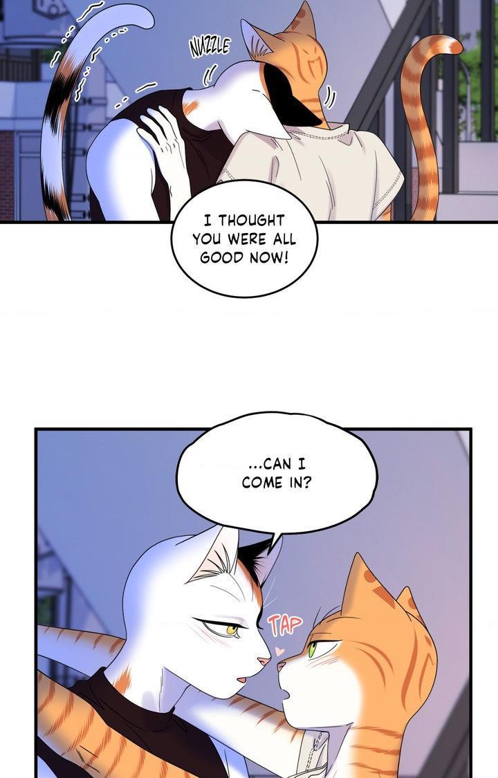 Blue Project Chapter 103 page 55 - 