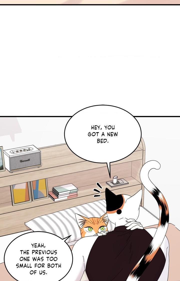 Blue Project Chapter 103 page 59 - 
