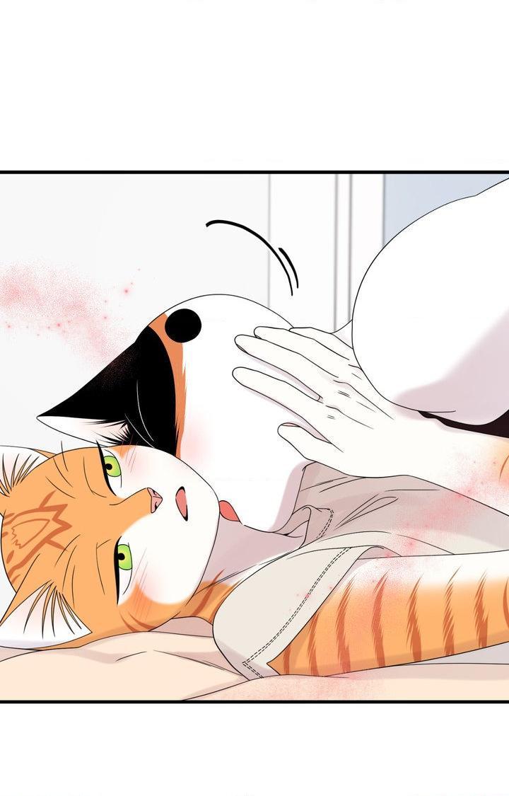 Blue Project Chapter 103 page 62 - 