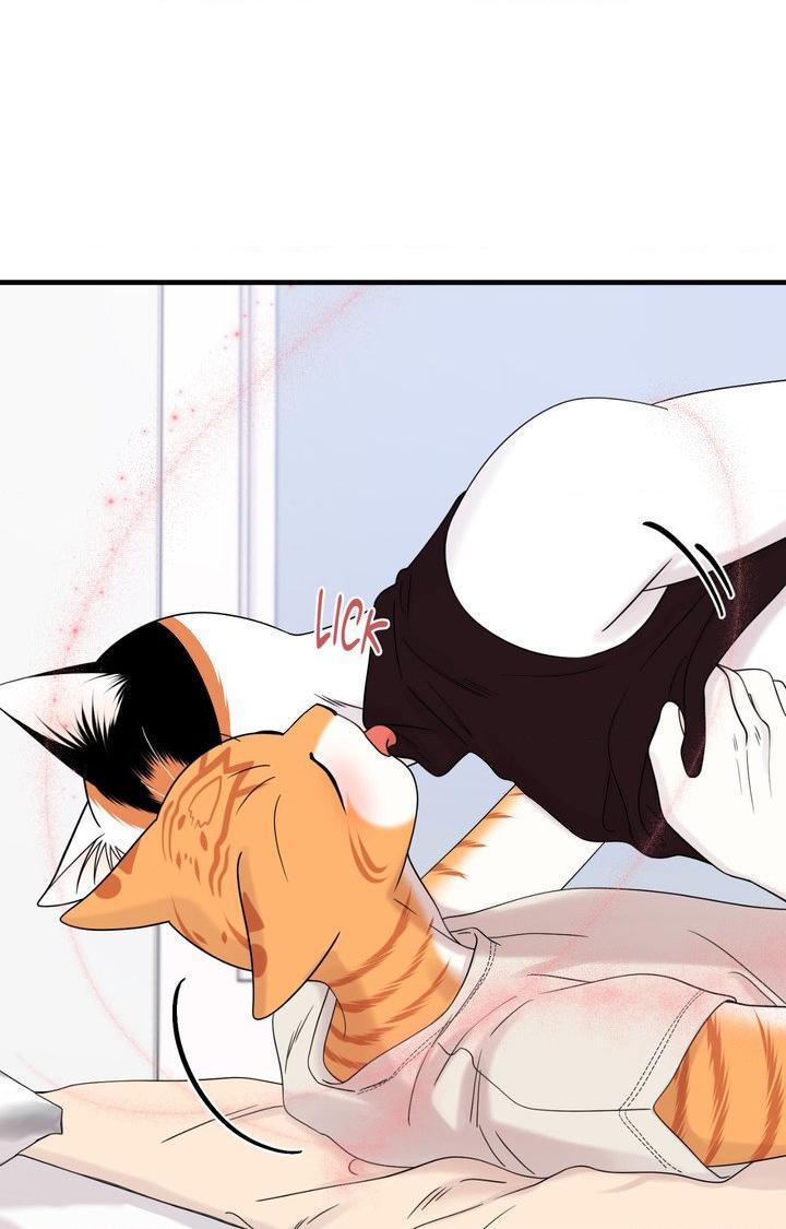 Blue Project Chapter 103 page 63 - 