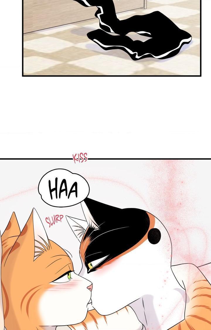 Blue Project Chapter 103 page 70 - 