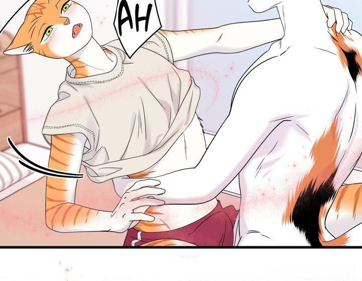 Blue Project Chapter 103 page 78 - 