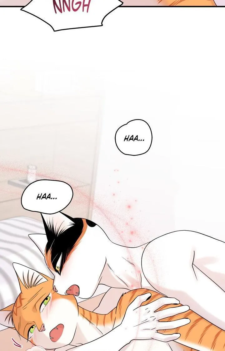 Blue Project Chapter 104 page 11 - 