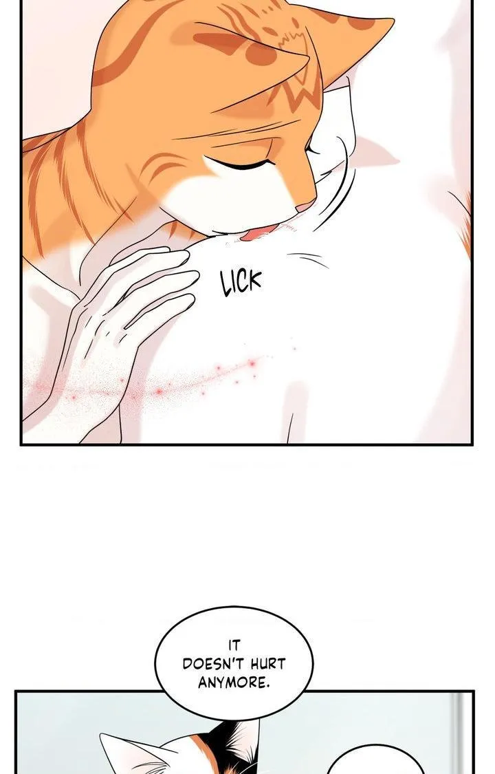 Blue Project Chapter 104 page 21 - 