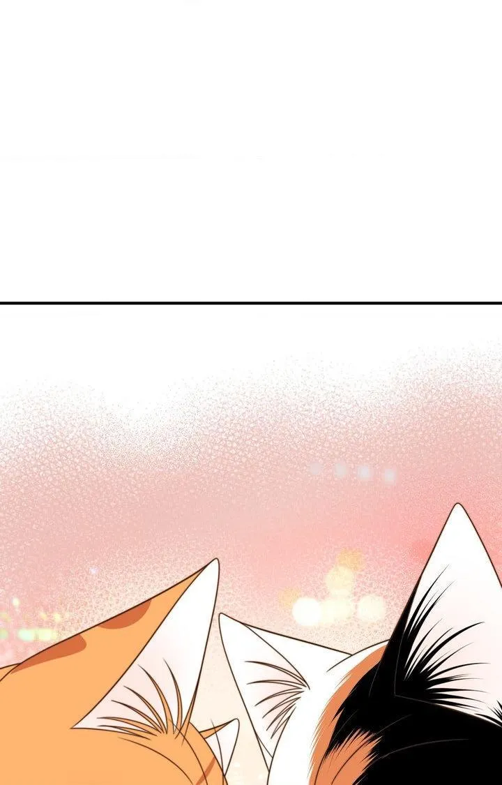 Blue Project Chapter 104 page 40 - 
