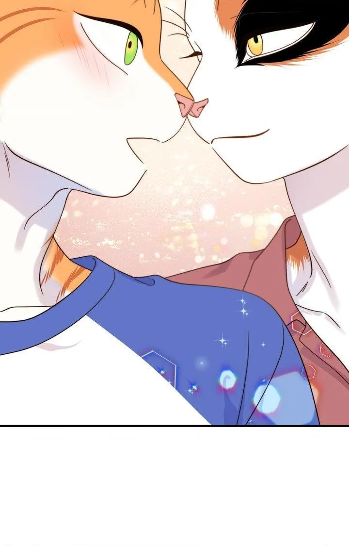 Blue Project Chapter 104 page 41 - 
