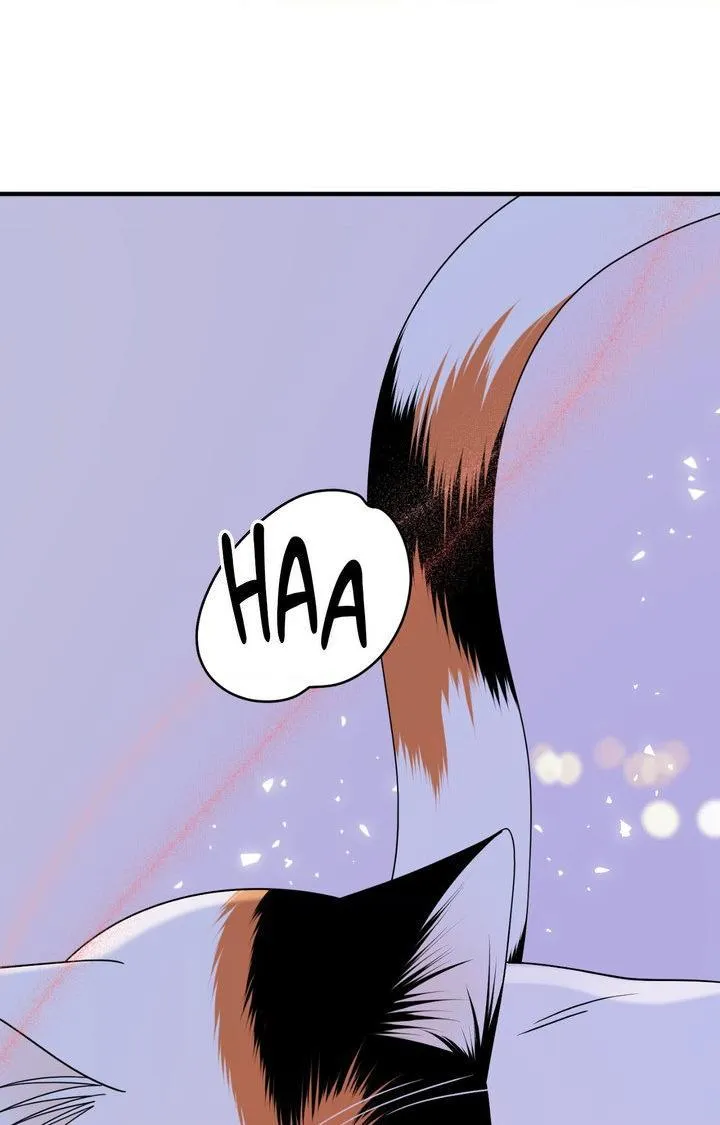 Blue Project Chapter 104 page 47 - 