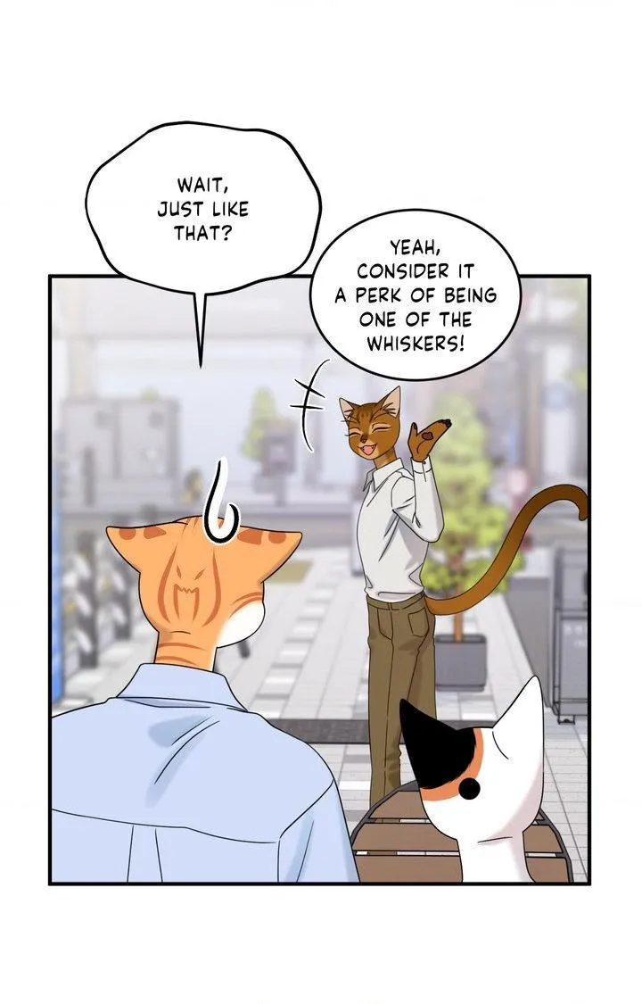 Blue Project Chapter 104 page 71 - 