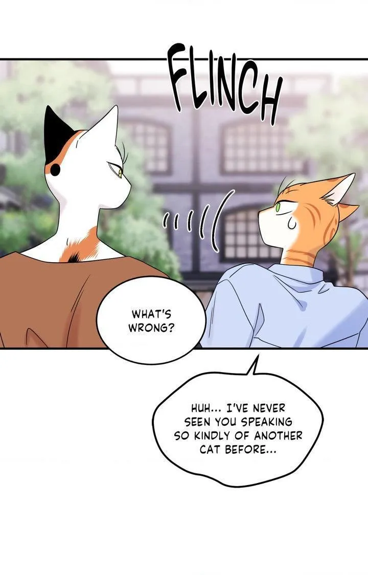 Blue Project Chapter 104 page 75 - 