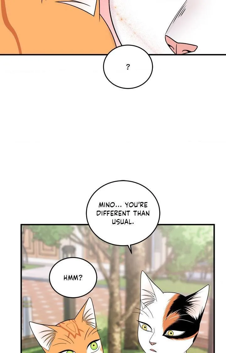 Blue Project Chapter 104 page 82 - 