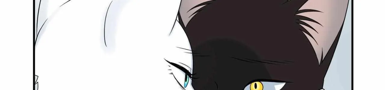Blue Project Chapter 71 page 33 - 