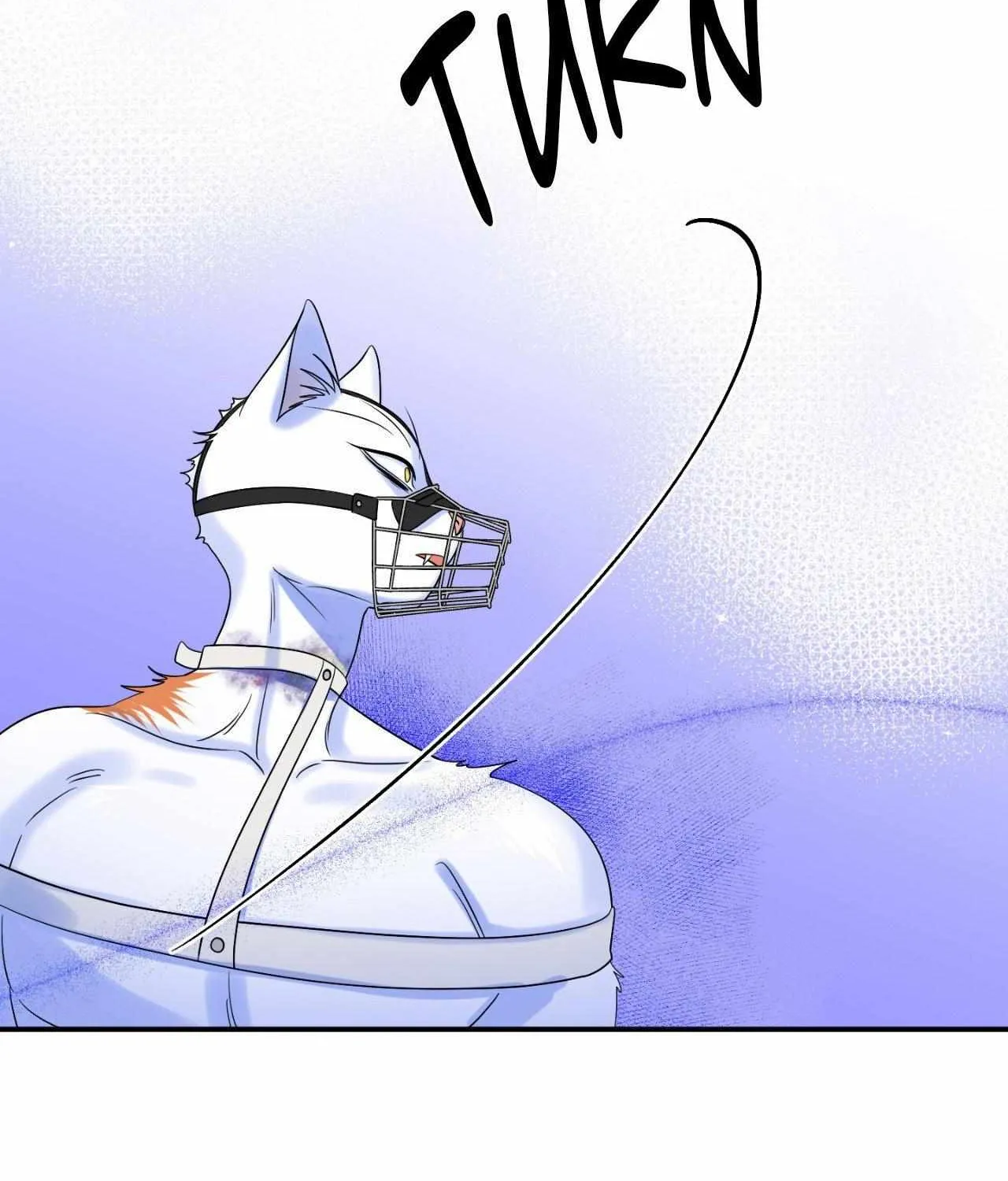 Blue Project Chapter 75 page 146 - 