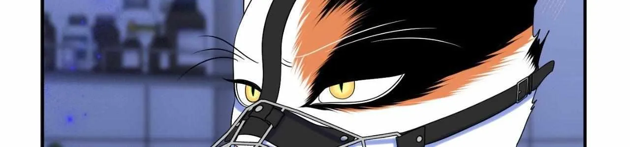 Blue Project Chapter 77 page 118 - 