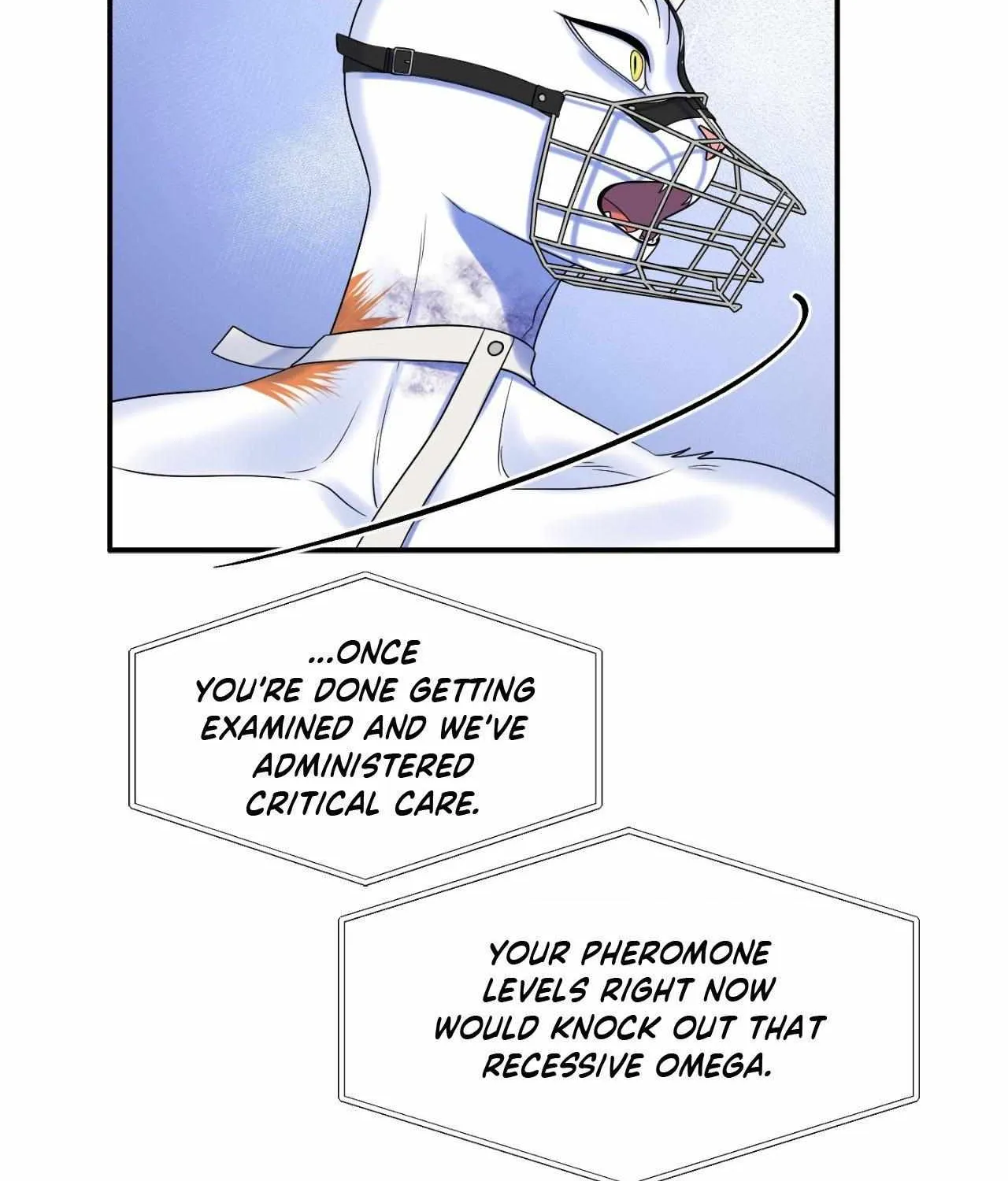 Blue Project Chapter 77 page 141 - 