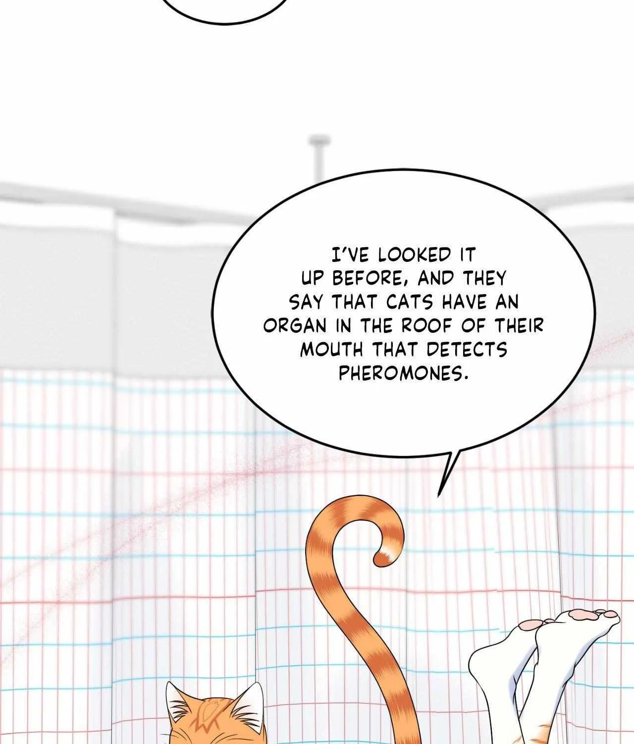 Blue Project Chapter 78 page 37 - 