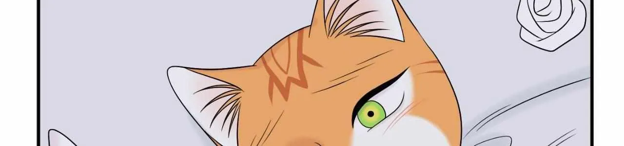 Blue Project Chapter 79 page 163 - 
