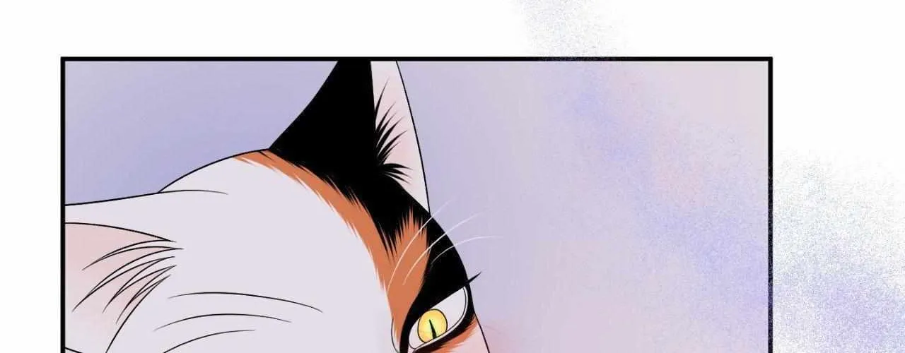 Blue Project Chapter 81 page 130 - 