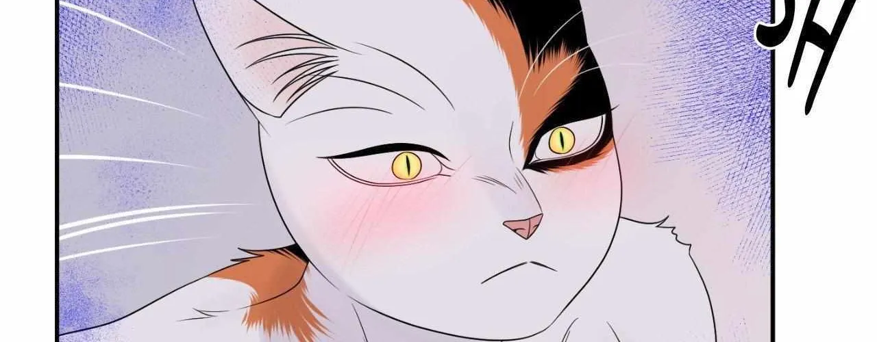 Blue Project Chapter 81 page 134 - 