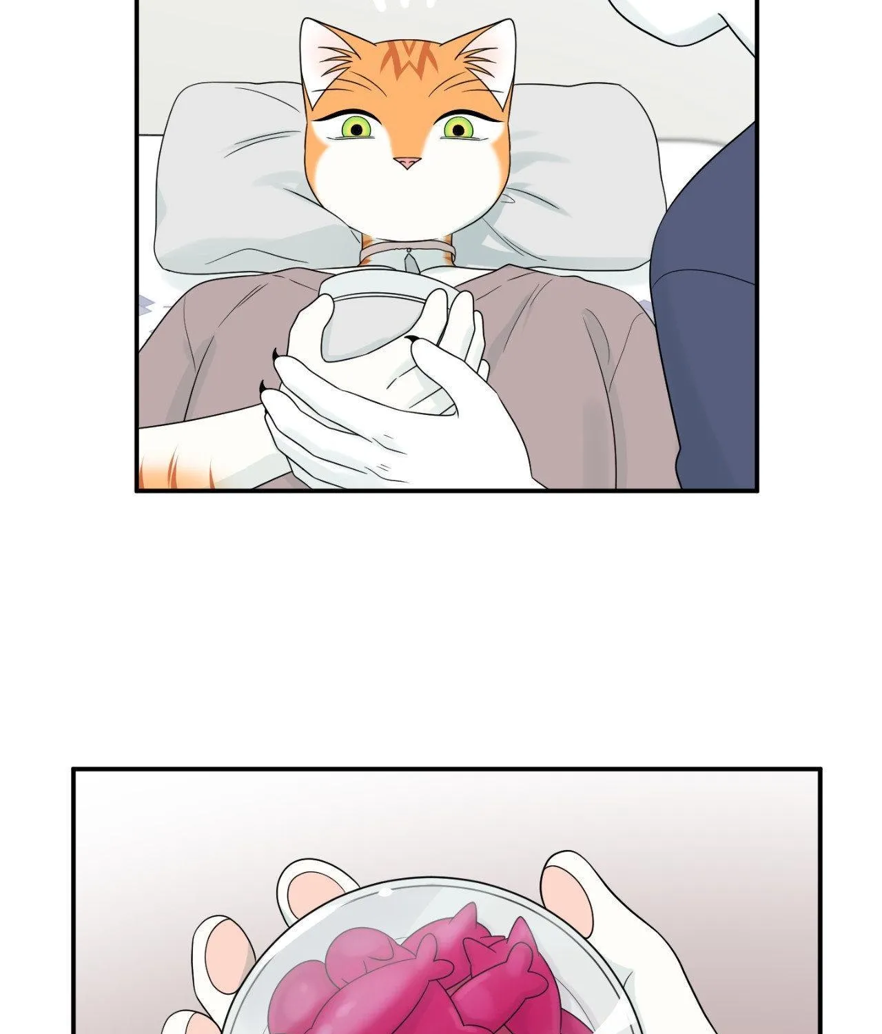 Blue Project Chapter 82 page 88 - 