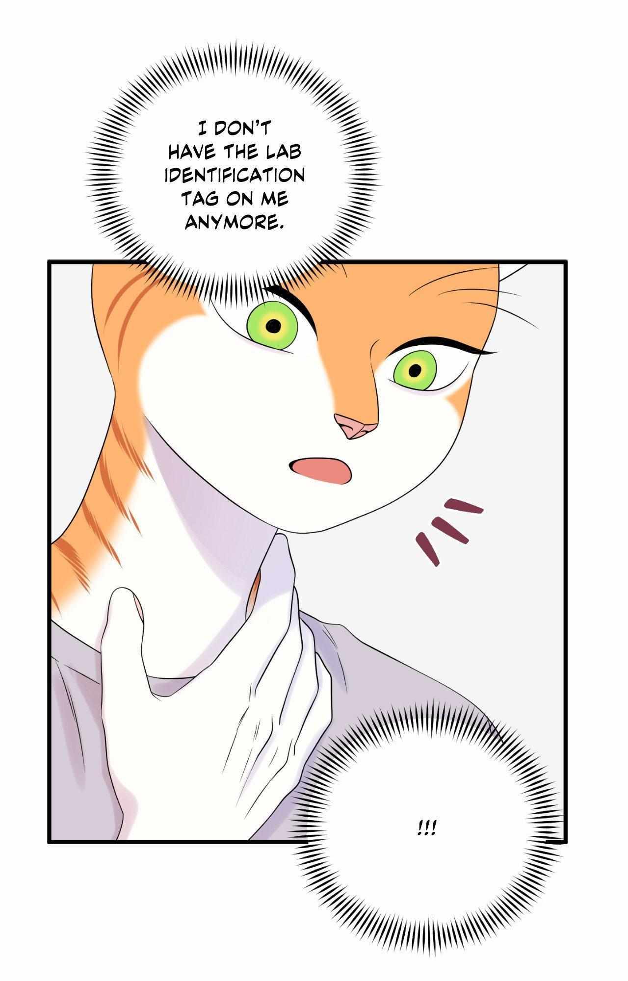 Blue Project Chapter 84 page 65 - 
