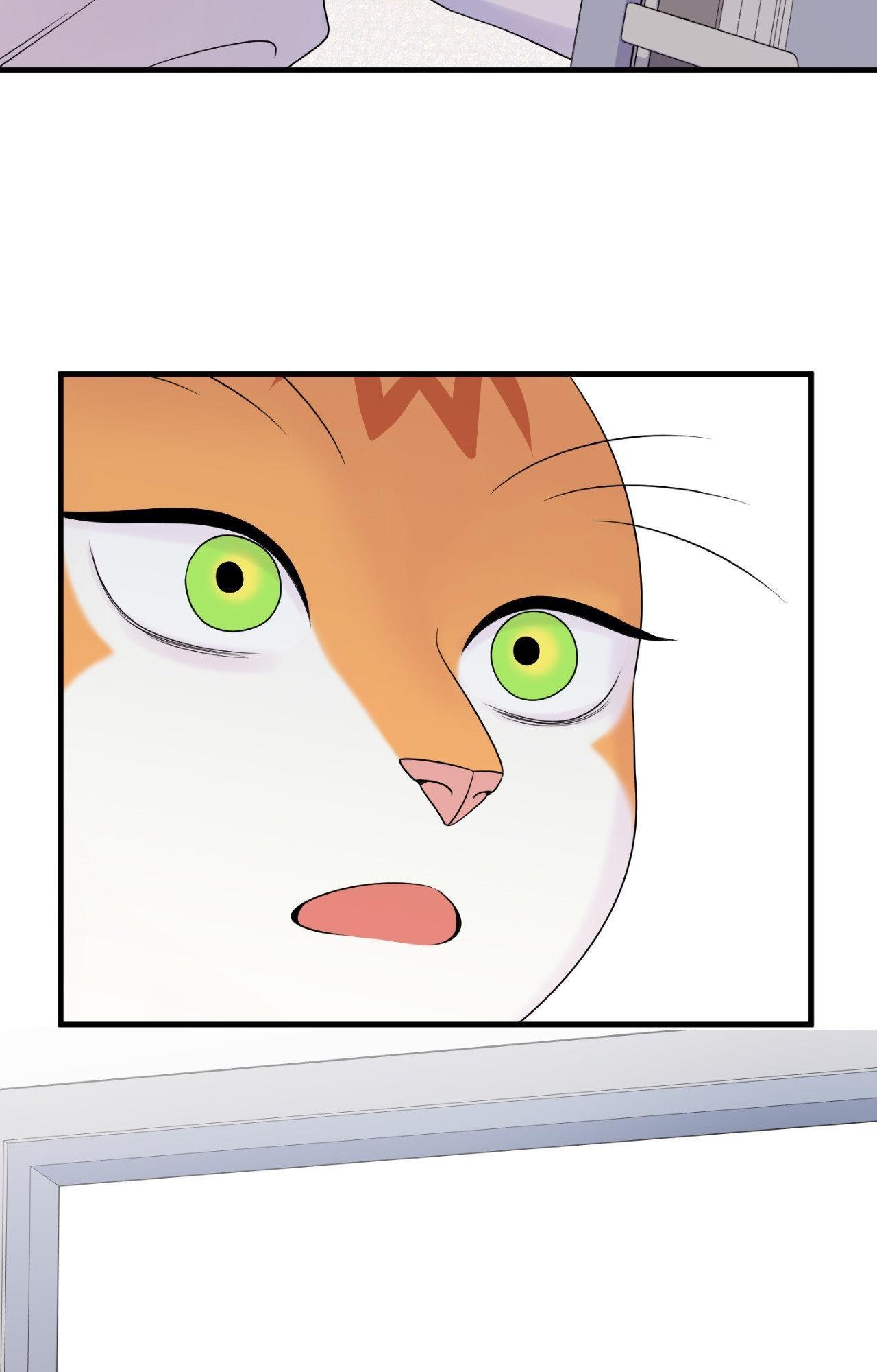 Blue Project Chapter 84 page 73 - 