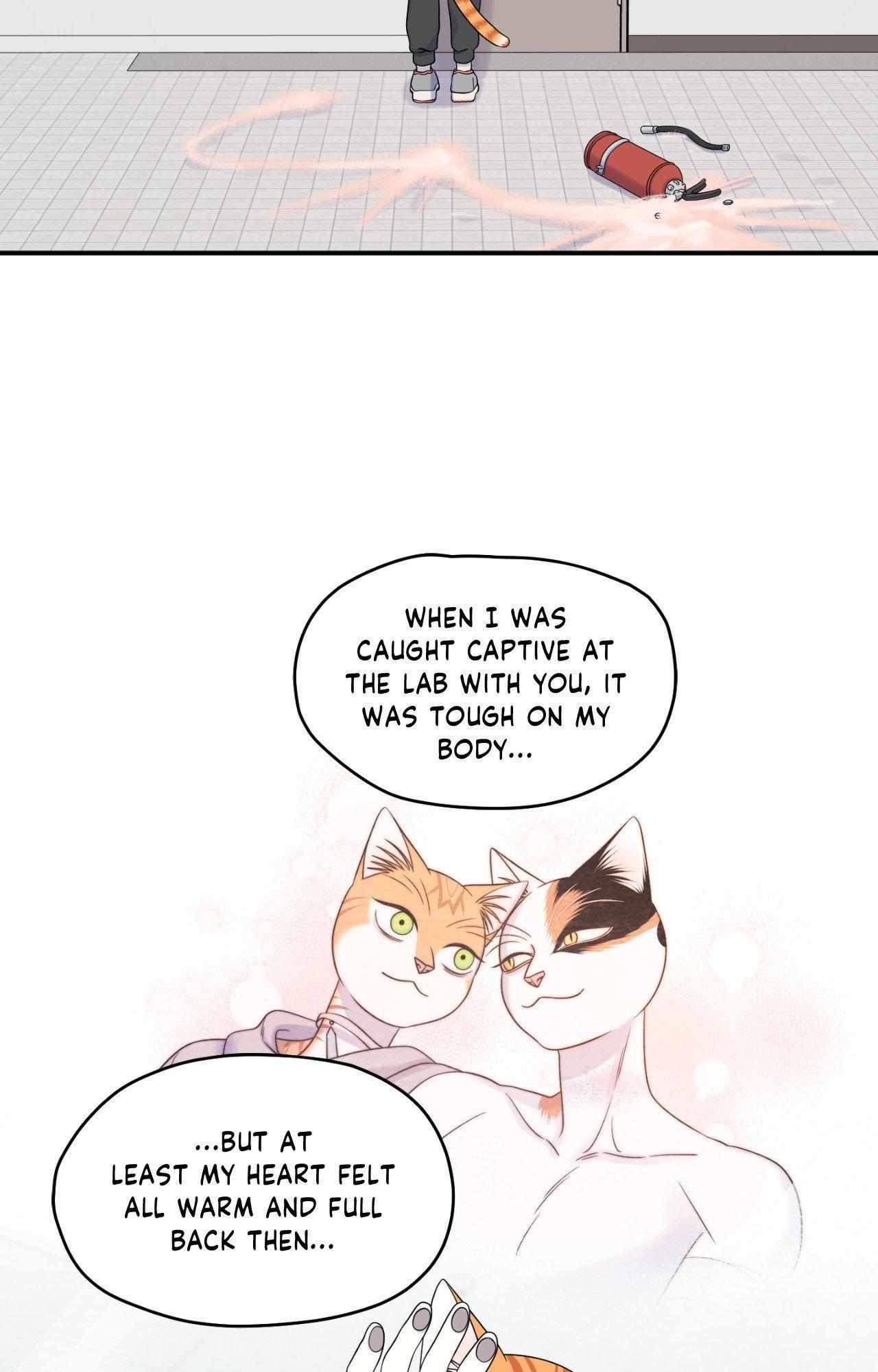 Blue Project Chapter 93 page 24 - 