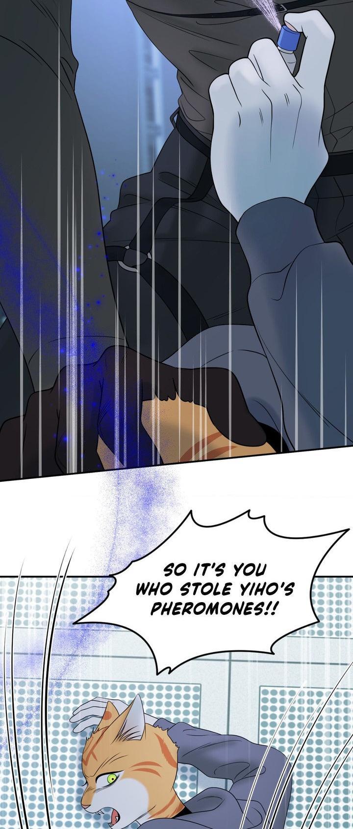 Blue Project Chapter 97 page 40 - 