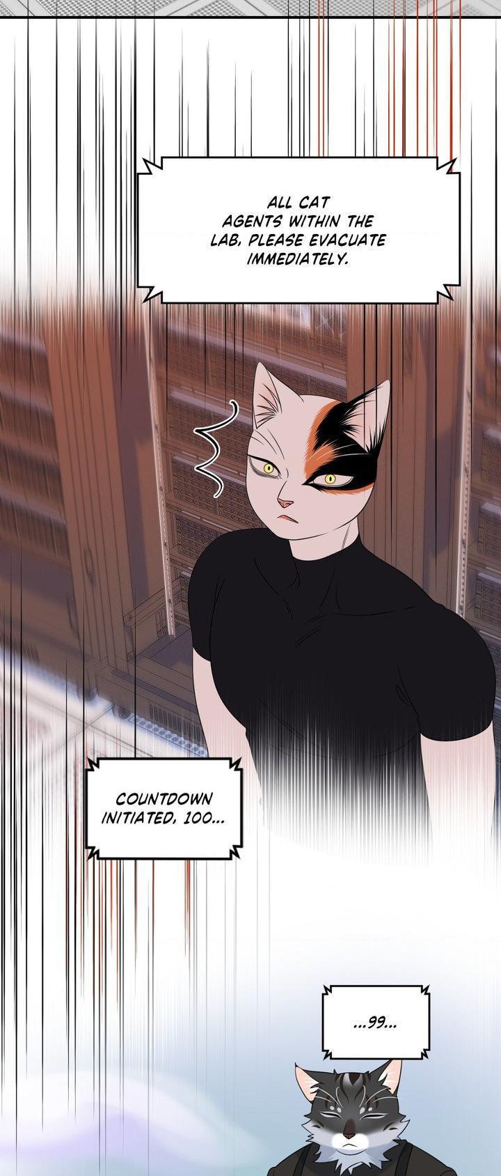 Blue Project Chapter 97 page 45 - 
