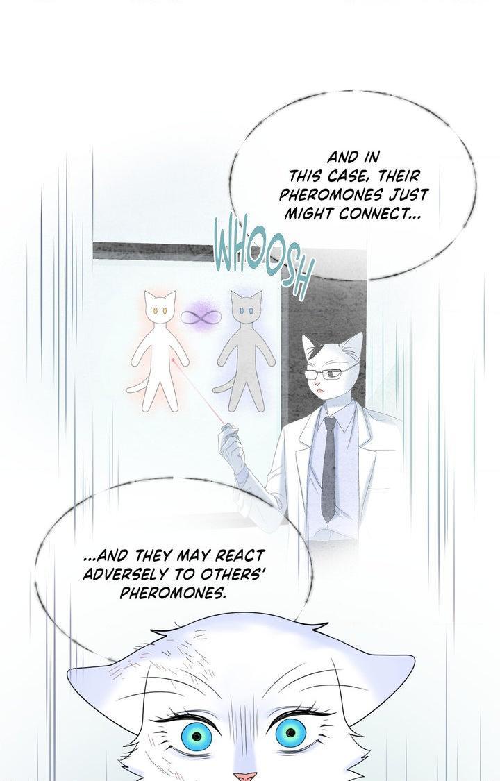 Blue Project Chapter 98 page 107 - 