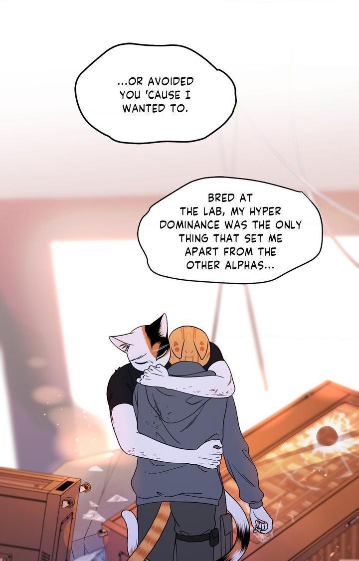 Blue Project Chapter 98 page 41 - 