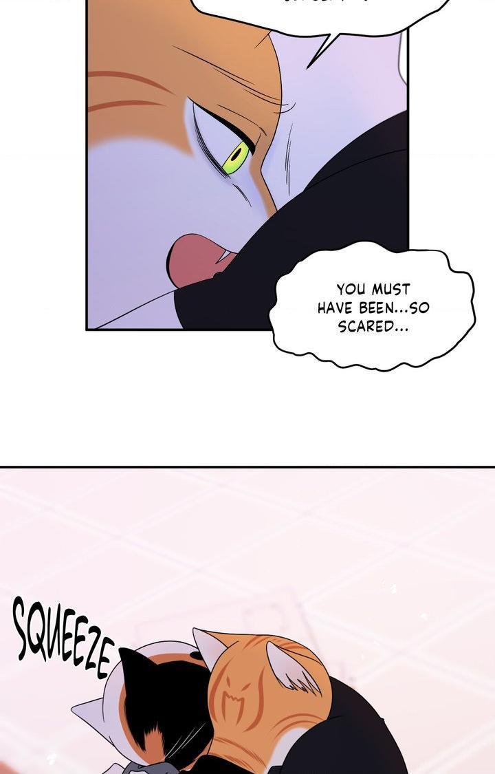 Blue Project Chapter 98 page 43 - 