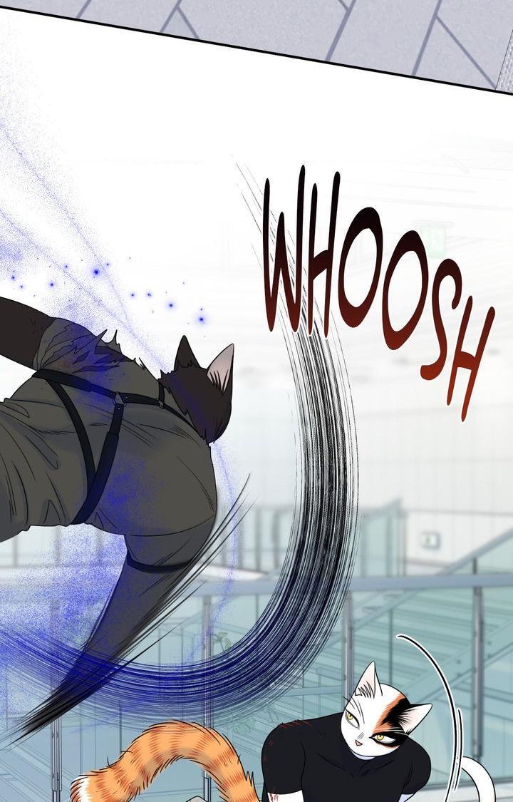 Blue Project Chapter 98 page 70 - 