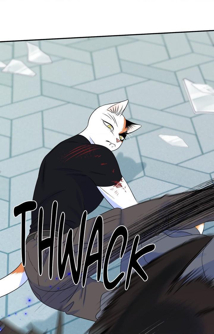 Blue Project Chapter 98 page 72 - 
