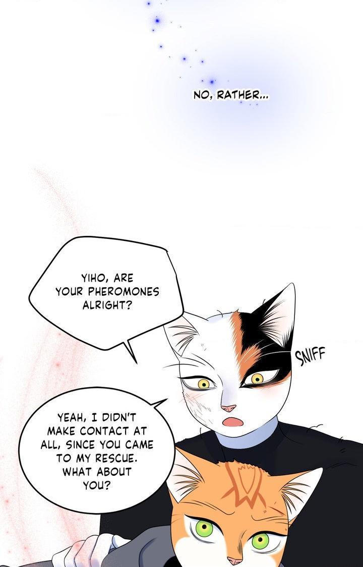 Blue Project Chapter 98 page 85 - 
