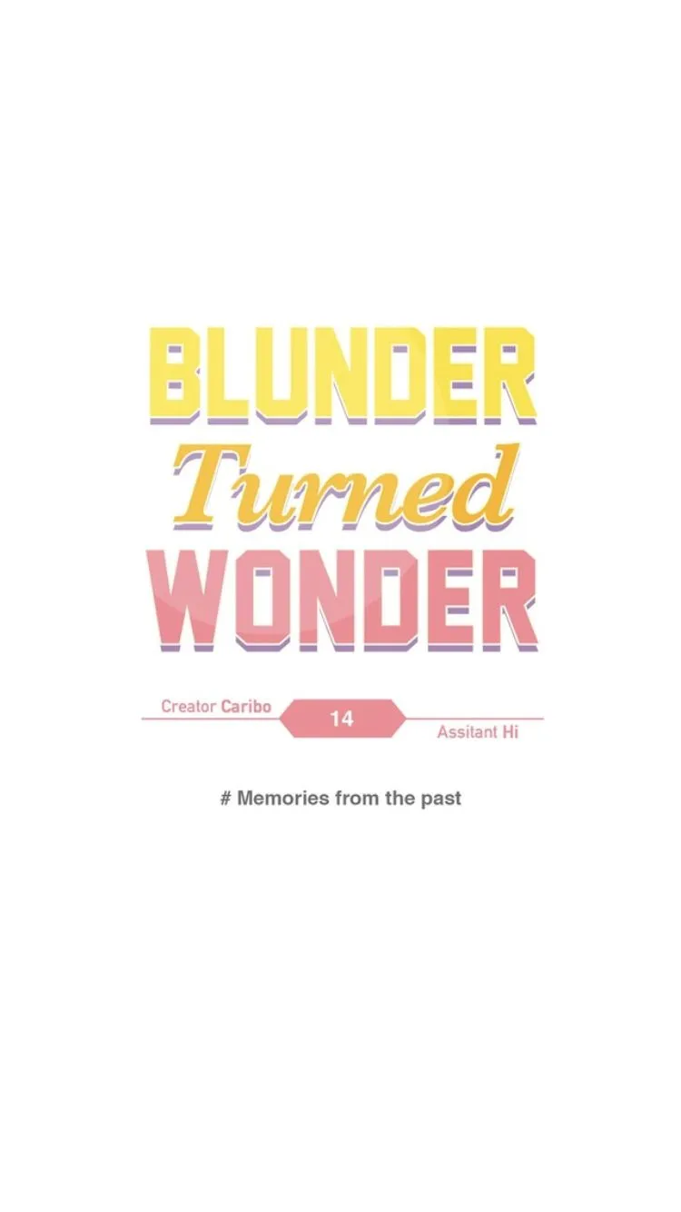 Blunder Turned Wonder Chapter 14 page 9 - 