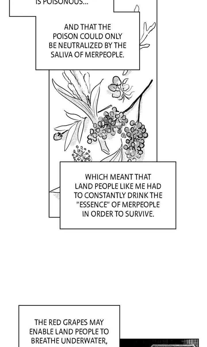 Read Bongchon Bride chapter 2.1 image 12 on Lezhin
