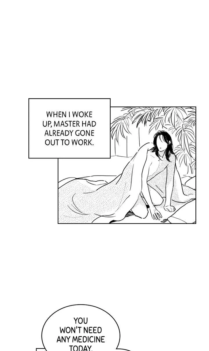 Read Bongchon Bride chapter 2.1 image 51 on Lezhin