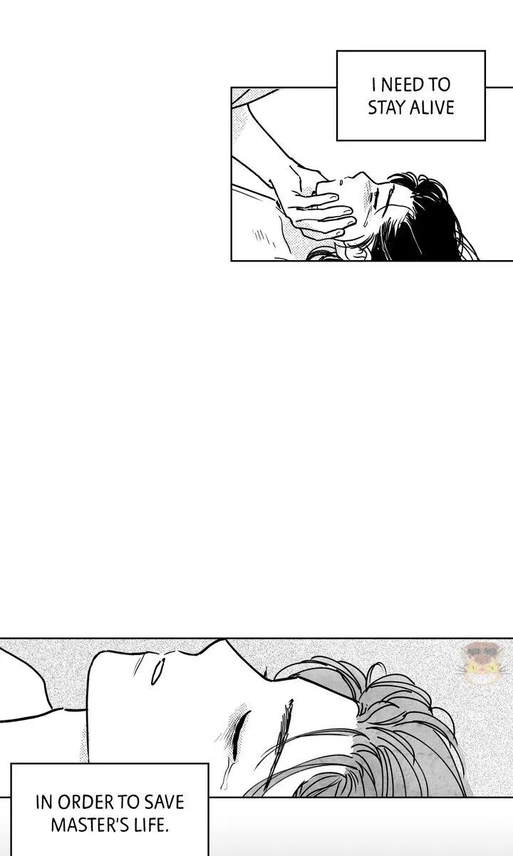 Read Bongchon Bride chapter 76 image 43 on Lezhin