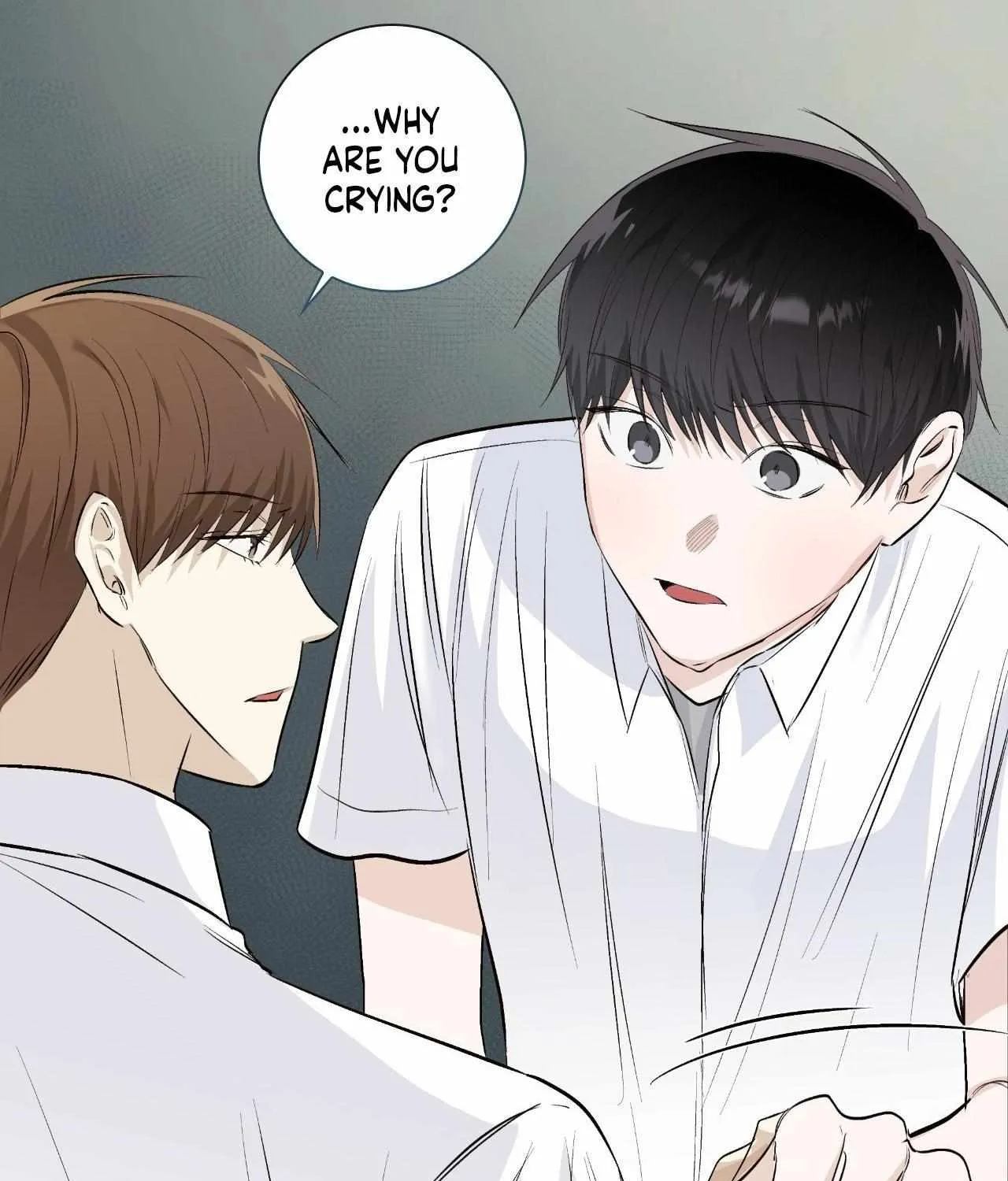 Borders Are Not Observed Chapter 29 page 41 - 