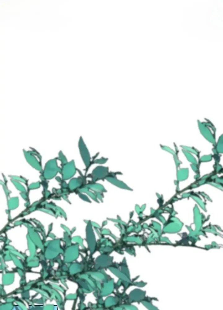 Read Born as the Second Daughter chapter 37 image 14 on Lezhin