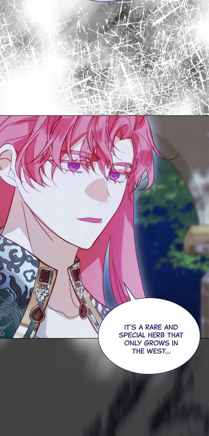 Read Born as the Second Daughter chapter 74 image 91 on Lezhin