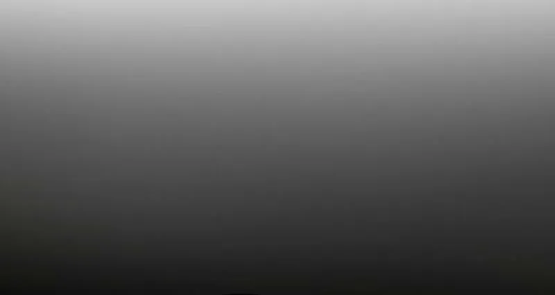 Born in Black Chapter 16 page 24 - 