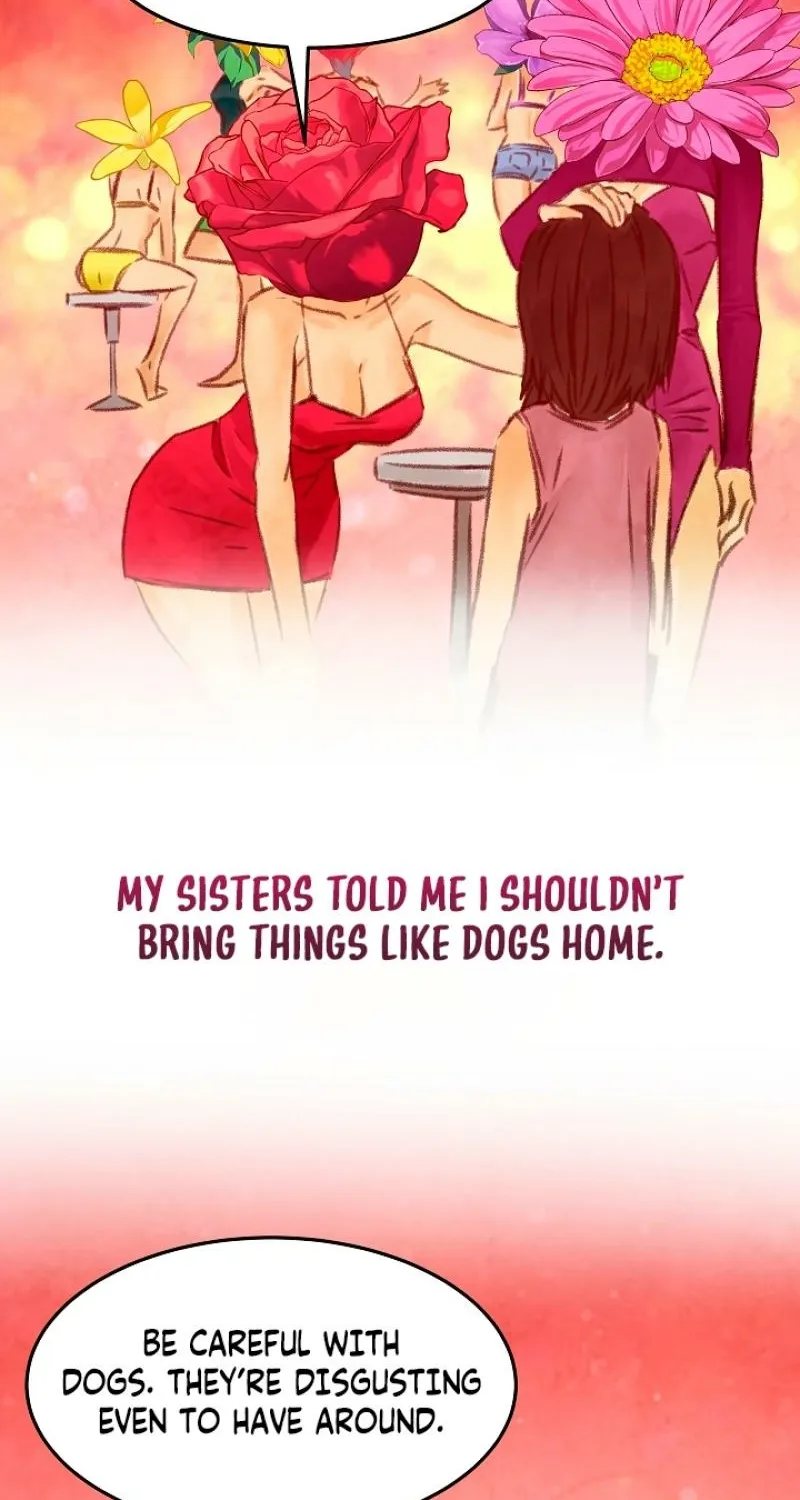 Born in Black Chapter 2 page 98 - 