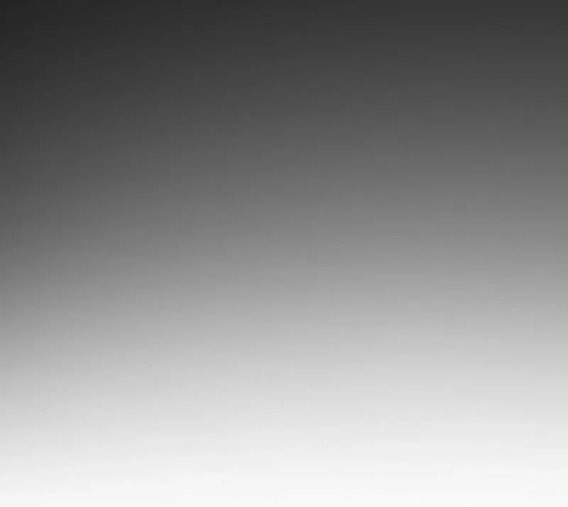 Born in Black Chapter 33 page 78 - 