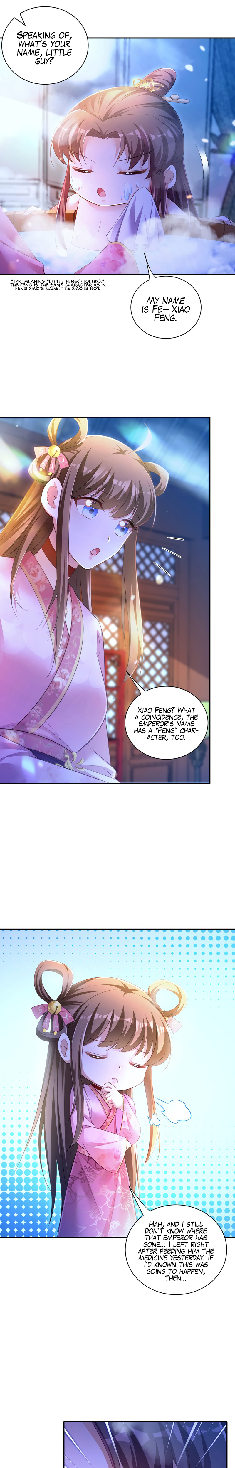 Boss of the Emperor's Harem Chapter 27 page 9 - 