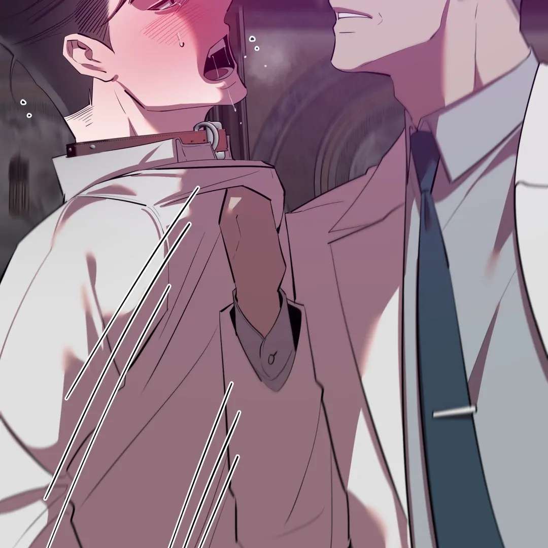 Read Bound By Desire chapter 3 image 27 on Lezhin